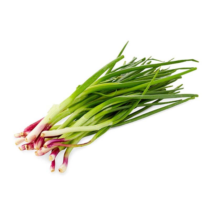 Scallion. Bilb Scallion. Laneway Scallion Scallion Green Boxer. Green garlic Leaf PNG.